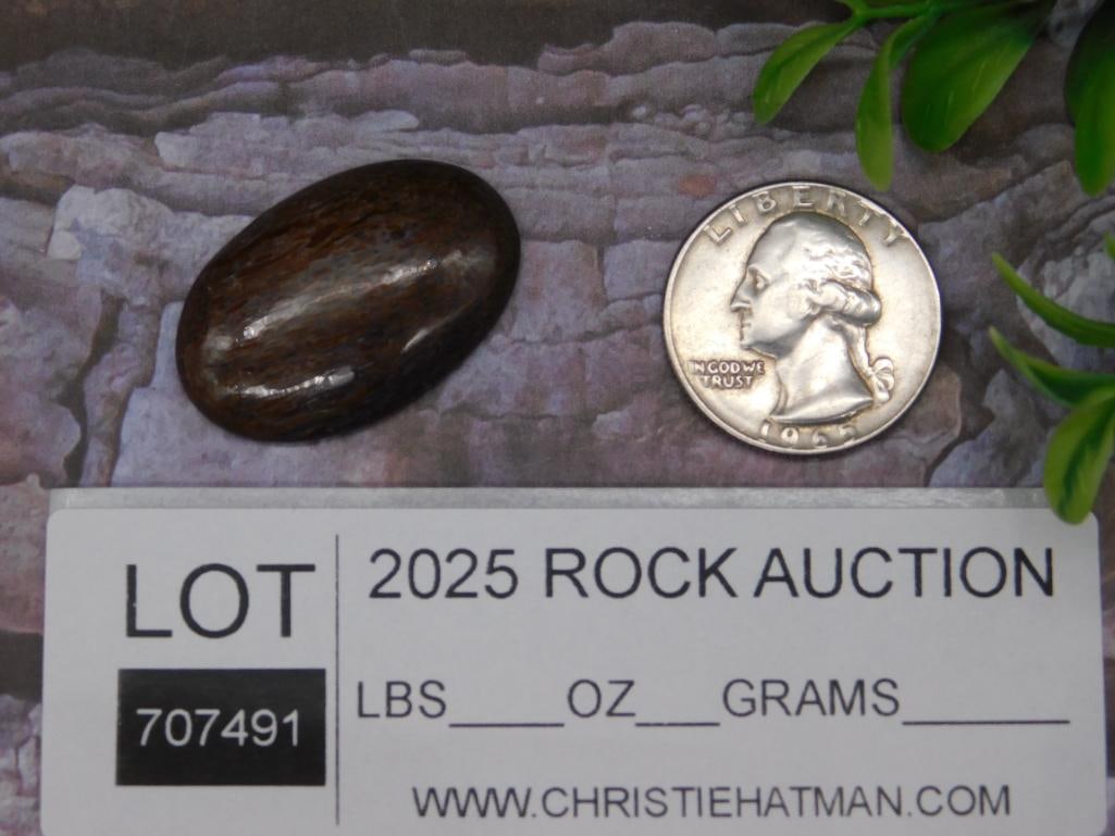 Polished Brown DINOSAUR BONE Stone with Subtle Grain Pattern - 2
