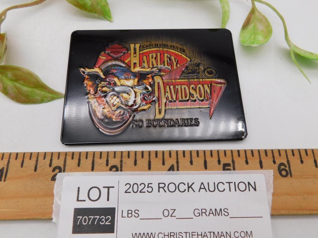 Harley-Davidson Magnet with Hog Design - 2