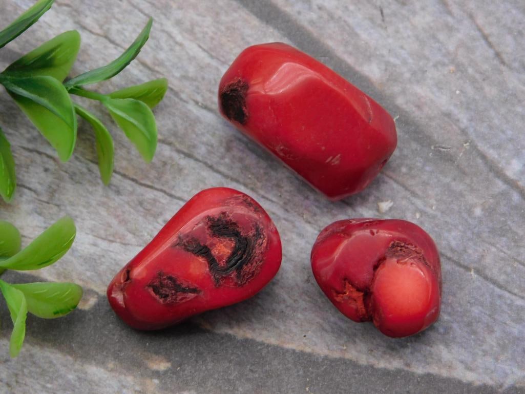 Rock: Tumbled Red Coral-Style Stone Nuggets, Set of Three, 36g: Three tumbled red stone nuggets with dark reddish-brown veining and inclusions, resembling natural coral in color and texture. Combined weight is 36 grams per the included auction tag. Photographed be