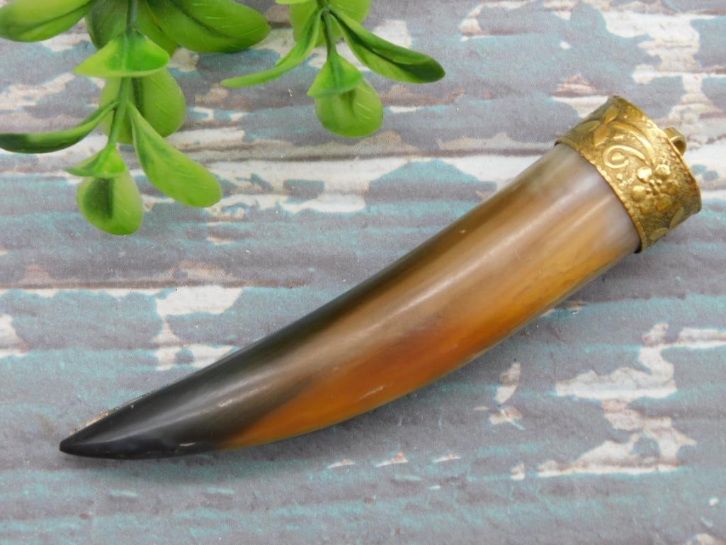 HORN PENDANT ROCK STONE LAPIDARY SPECIMEN: HORN PENDANT ROCK STONE LAPIDARY SPECIMEN
