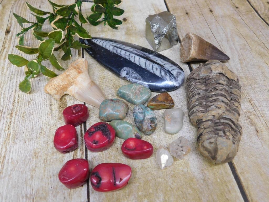 MIXED LOT ROCK STONE LAPIDARY SPECIMEN: MIXED LOT ROCK STONE LAPIDARY SPECIMEN