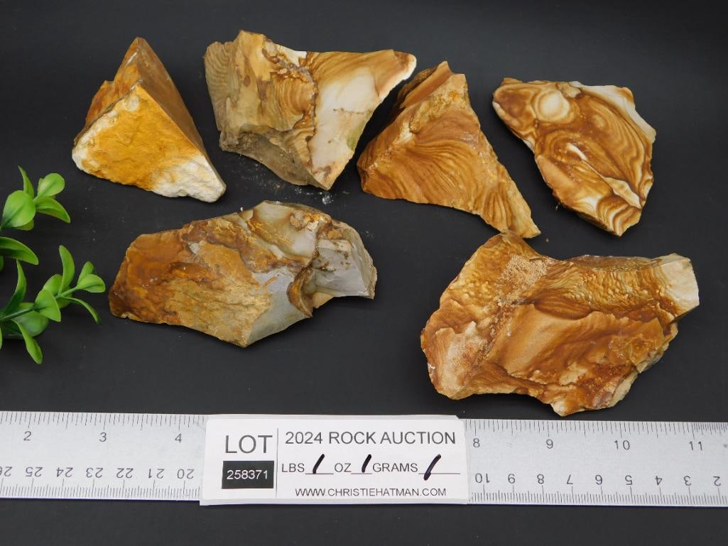 JASPER ROCK STONE LAPIDARY SPECIMEN - 4