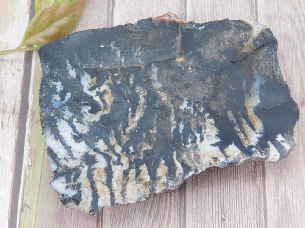 Agate Rock Stone Lapidary Specimen Slab - 2