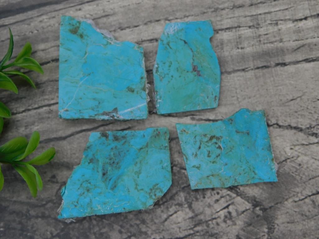 Rock Auction Lot - Raw Turquoise Slabs, 4-Piece Set, 42 Grams: Set of four rough-cut turquoise slabs in vivid blue-green tones with natural matrix veining. Combined weight is 42 grams per the included lot card; a quarter is shown for scale, indicating each slab