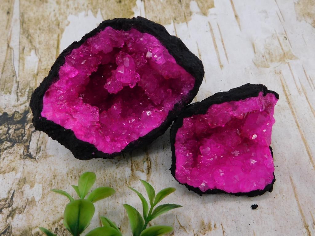 Rock Geode Pair - Dyed Pink/Magenta Crystal Cavities: Two dark-rind geode halves with vivid dyed pink/magenta druzy crystal interiors, a common decorative treatment on natural quartz geodes. Combined weight is 293 grams per the lot card. A quarter is