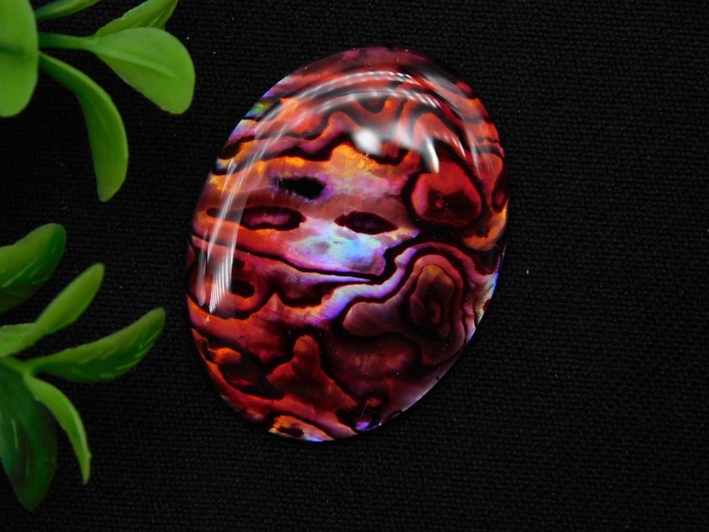 Cabochon - Iridescent Abalone Paua Shell, Oval Loose Stone: Loose oval cabochon cut from natural abalone/paua shell displaying vivid iridescent red, purple, and gold banding. Measures approximately 1.75 x 1.25 inches, shown next to a quarter for scale. Polishe