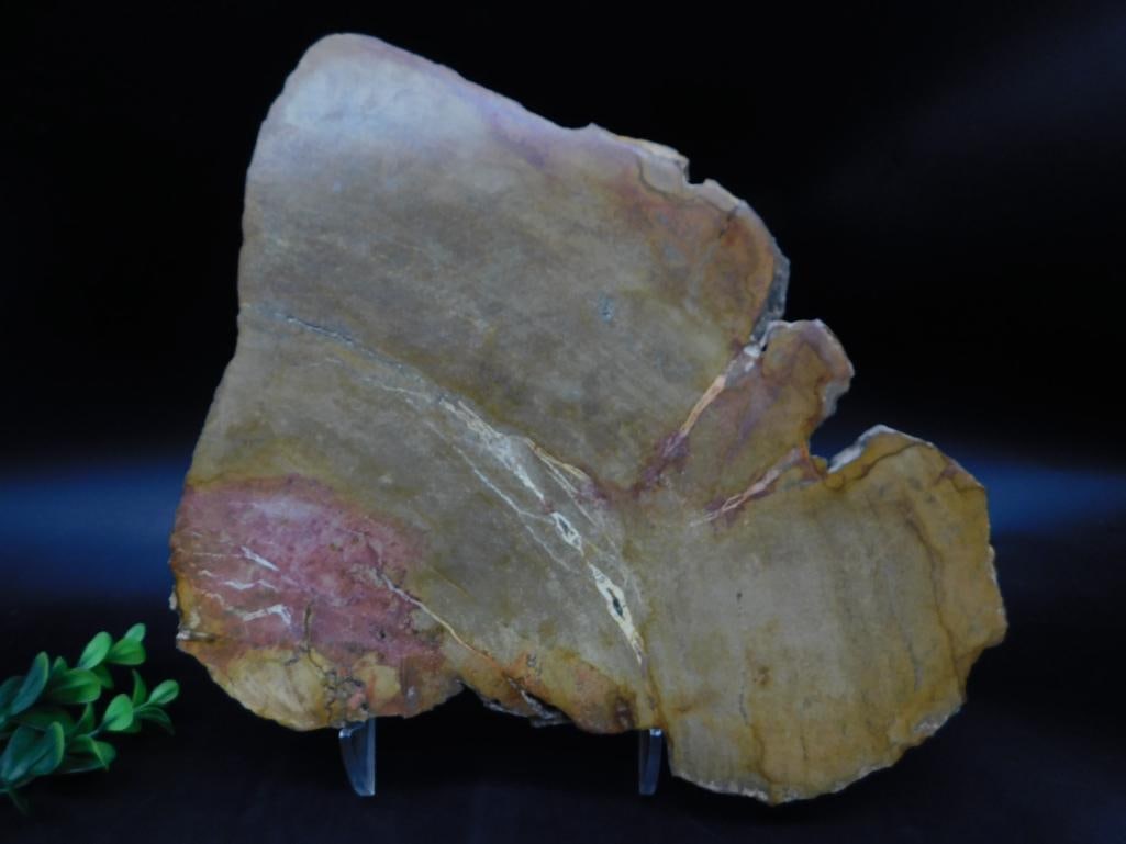 PETRIFIED WOOD SLAB ROCK STONE LAPIDARY SPECIMEN (1 of 4)