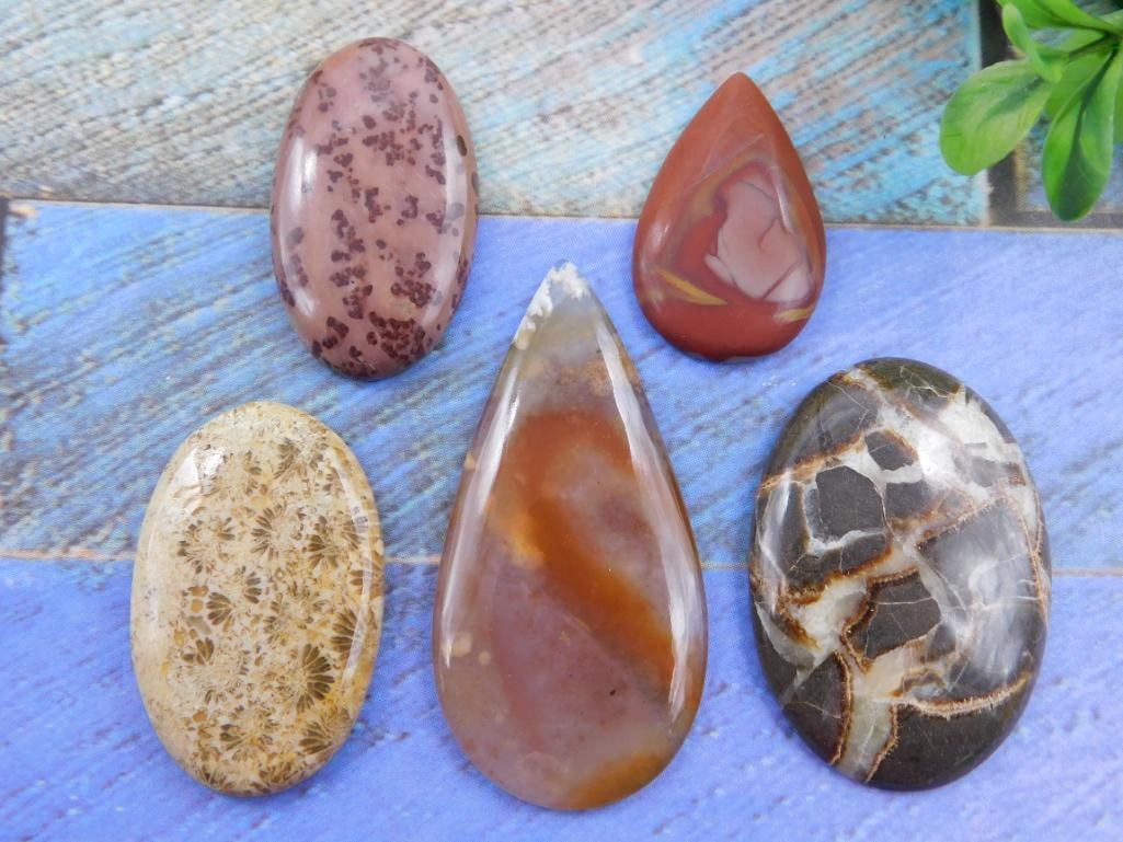 CABOCHONS ROCK STONE LAPIDARY SPECIMEN - 2