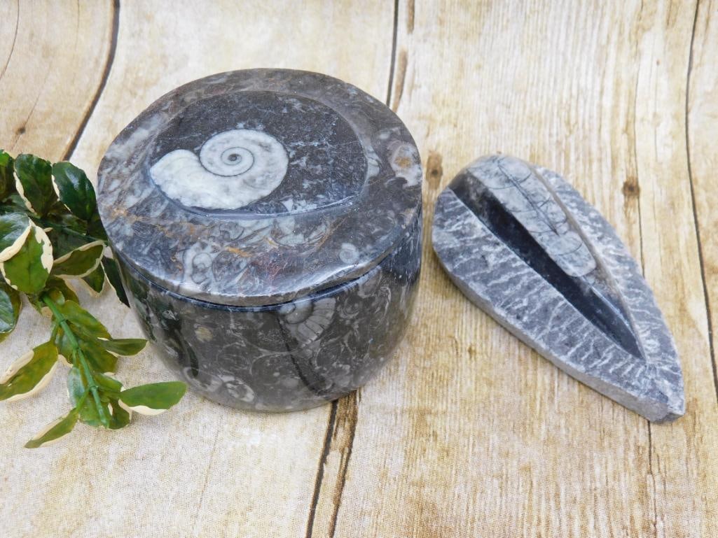 ORTHOCERAS ROCK STONE LAPIDARY SPECIMEN: Discover an extraordinary collection of natural wonders and estate treasures in Hatman's Auctions' Treasures of the Earth Online Auction! Browse turquoise, agate, jasper, petrified wood, quartz crysta