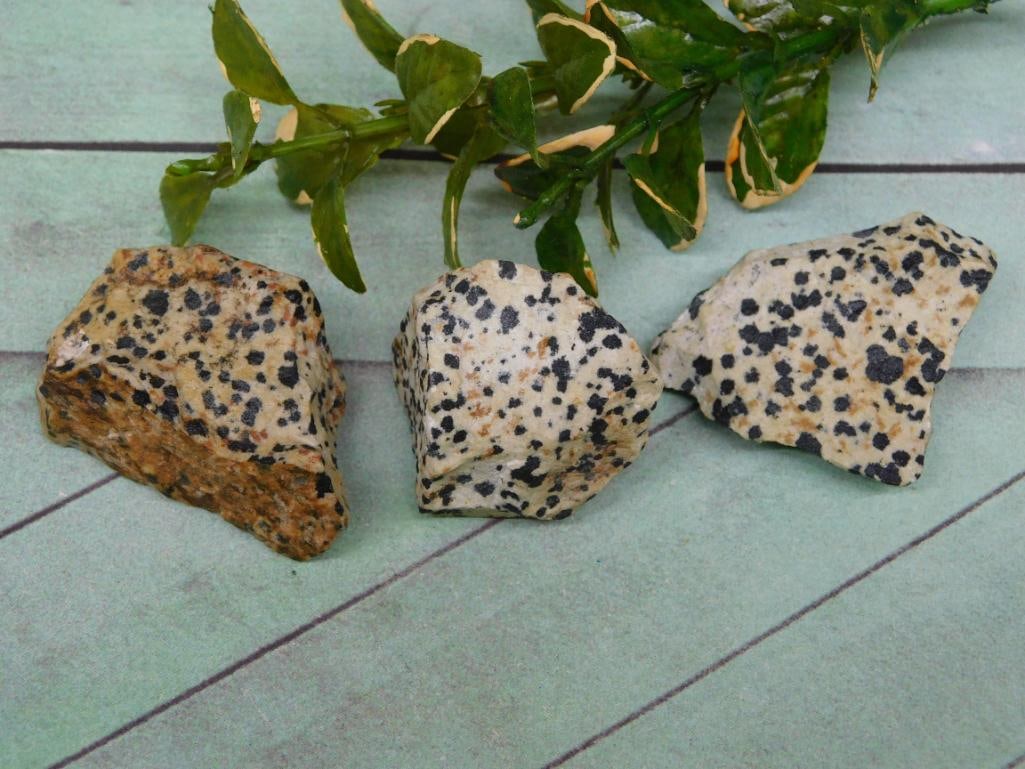 DALMATION JASPER ROCK STONE LAPIDARY SPECIMEN: DALMATION JASPER ROCK STONE LAPIDARY SPECIMEN