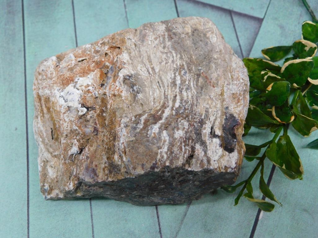 ROCK STONE LAPIDARY SPECIMEN (1 of 2)