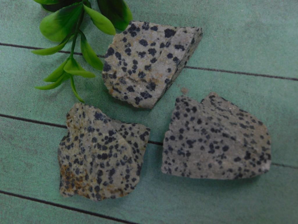 DALMATION JASPER ROCK STONE LAPIDARY SPECIMEN - 2