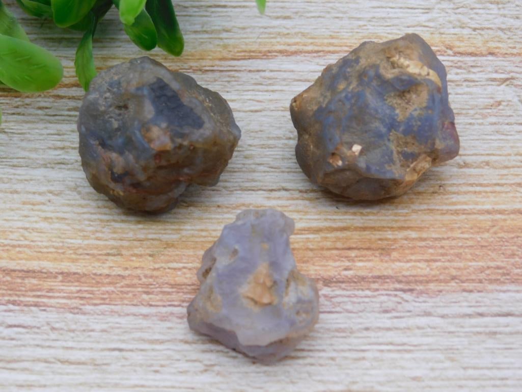 ELLENSBURG AGATE ROCK STONE LAPIDARY SPECIMEN (1 of 2)