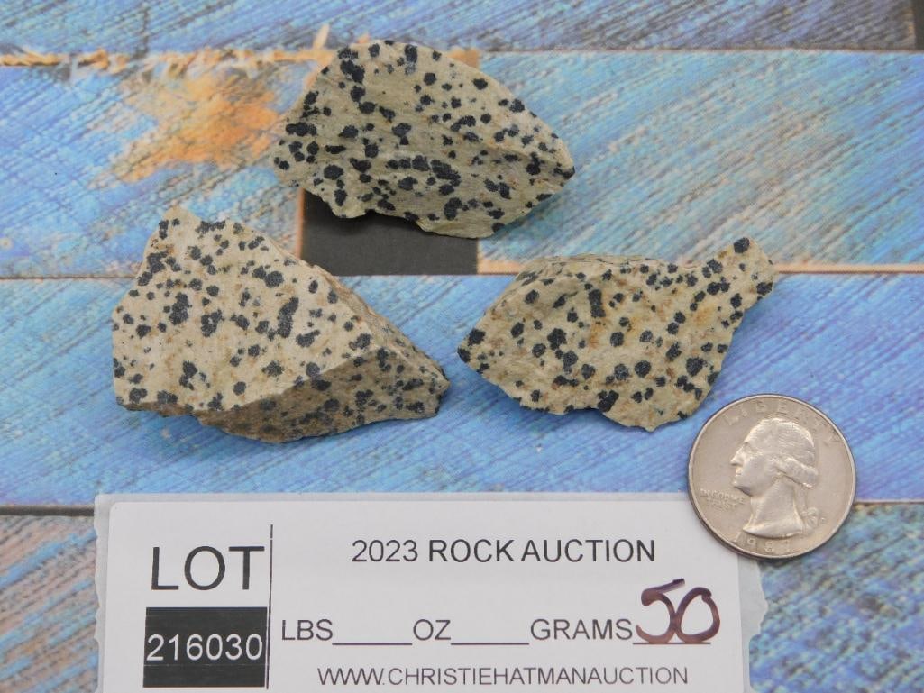 DALMATION JASPER ROCK STONE LAPIDARY SPECIMEN - 2