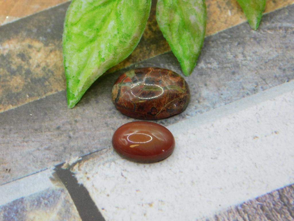CABOCHONS ROCK STONE LAPIDARY SPECIMEN: CABOCHONS ROCK STONE LAPIDARY SPECIMEN
