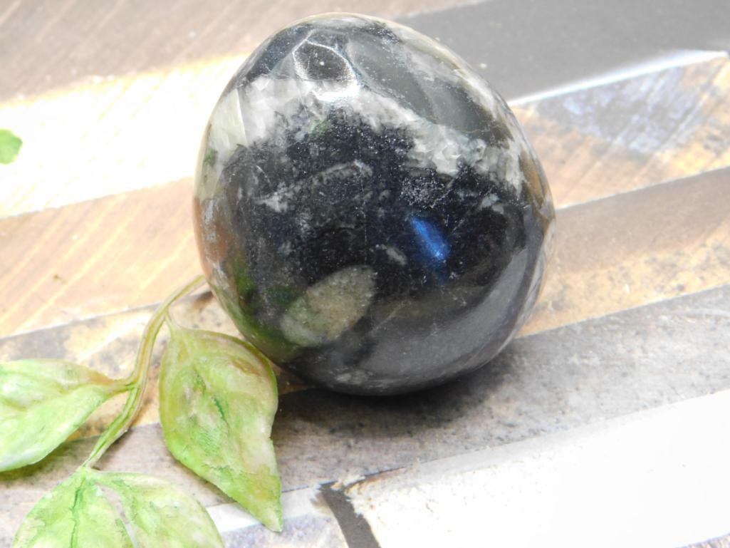 ORTHOCERAS ROCK STONE LAPIDARY SPECIMEN: ORTHOCERAS ROCK STONE LAPIDARY SPECIMEN