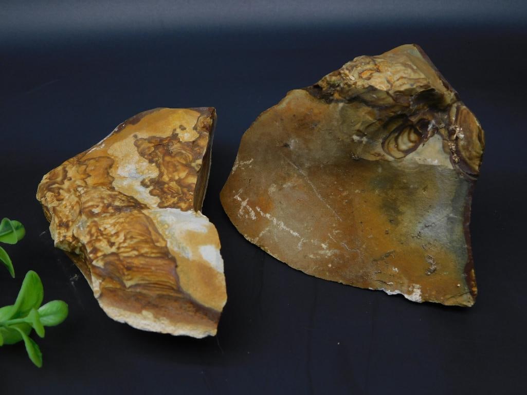 JASPER ROCK STONE LAPIDARY SPECIMEN: Jasper Rock Stone Lapidary Specimen. See photos for exact size and condition.