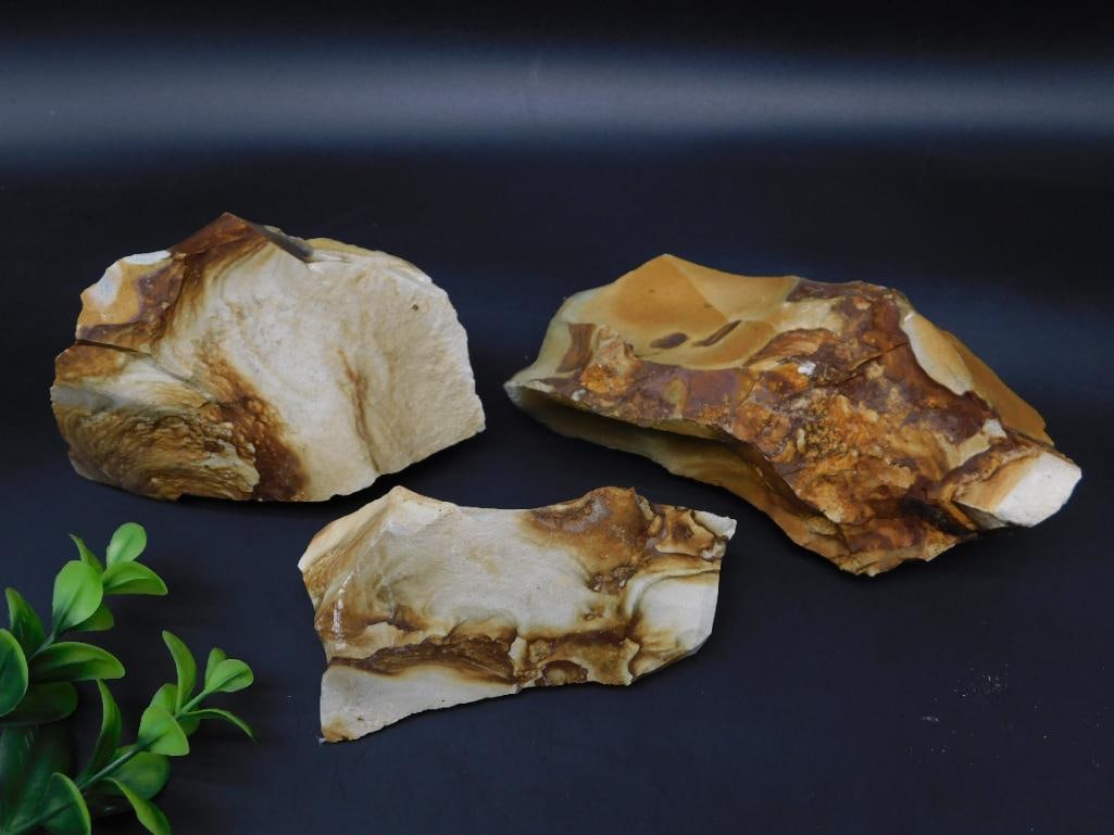 JASPER ROCK STONE LAPIDARY SPECIMEN: Jasper Rock Stone Lapidary Specimen. See photos for exact size and condition.