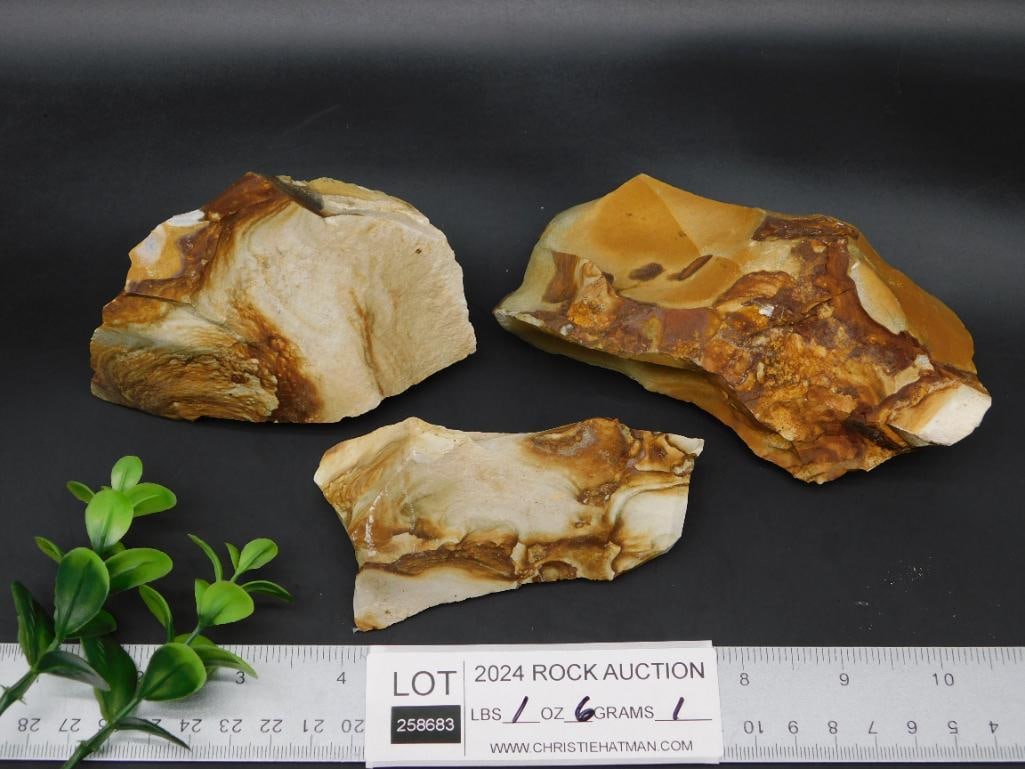 JASPER ROCK STONE LAPIDARY SPECIMEN - 6