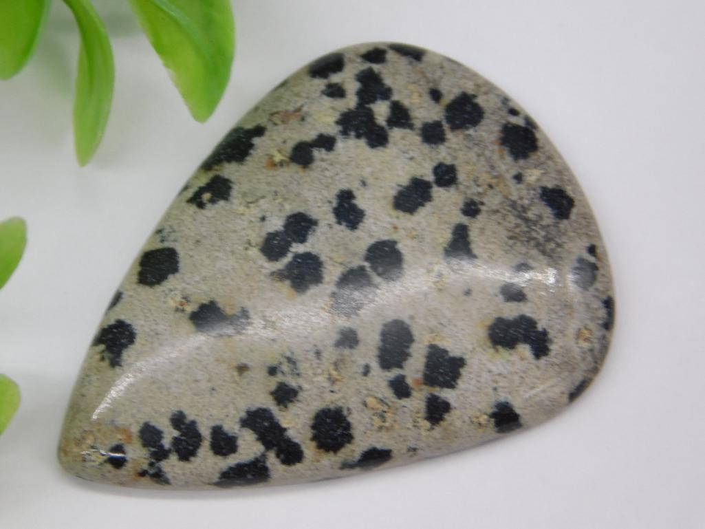Dalmatian Jasper Cabochon: Dalmatian Jasper Cabochon ? Authentic estate find offered in our online auction. Perfect for collectors, resellers, and enthusiasts of vintage, antiques, minerals, rocks, crystals, jewelry, lapidary,