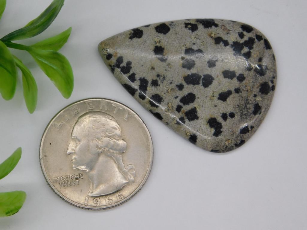 Dalmatian Jasper Cabochon - 6