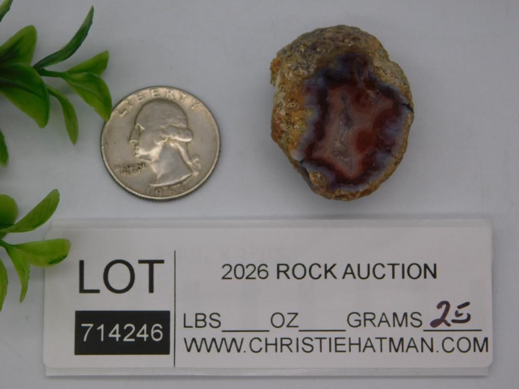 Red Banded Agate Geode Slice Specimen - 2