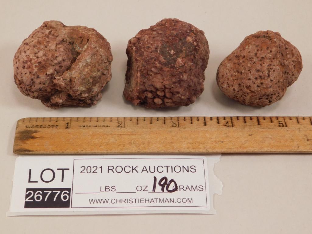 COPROLITE ROCK STONE LAPIDARY SPECIMEN - 4