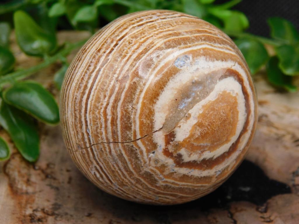 JEWELRY SALE! ROCK STONE LAPIDARY SPECIMEN (1 of 8)