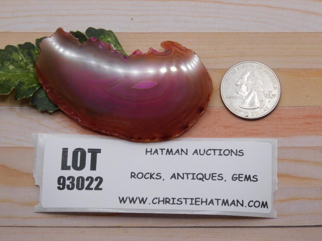 AGATE SLICE ROCK STONE LAPIDARY SPECIMEN - 7
