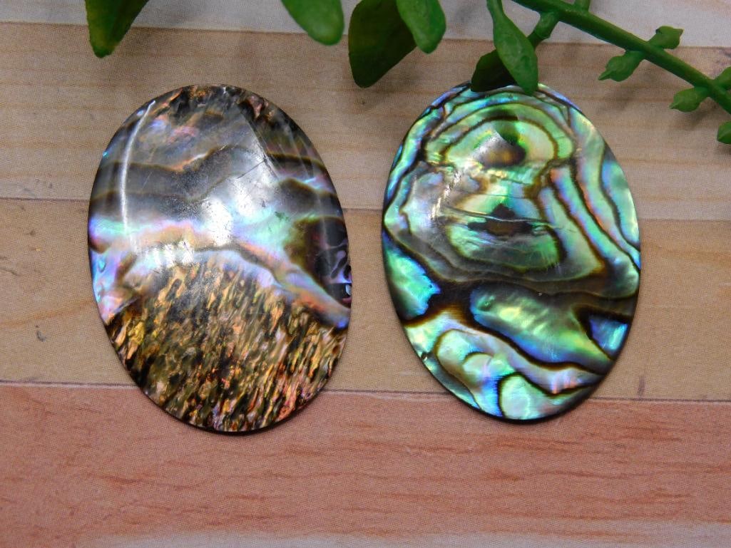 ABALONE CABOCHONS ROCK STONE LAPIDARY SPECIMEN: We are an auction house conducting a live auction with several hundred lots. It sometimes takes up to three weeks to ship, and announcements are made during the auction that affect some items. *******