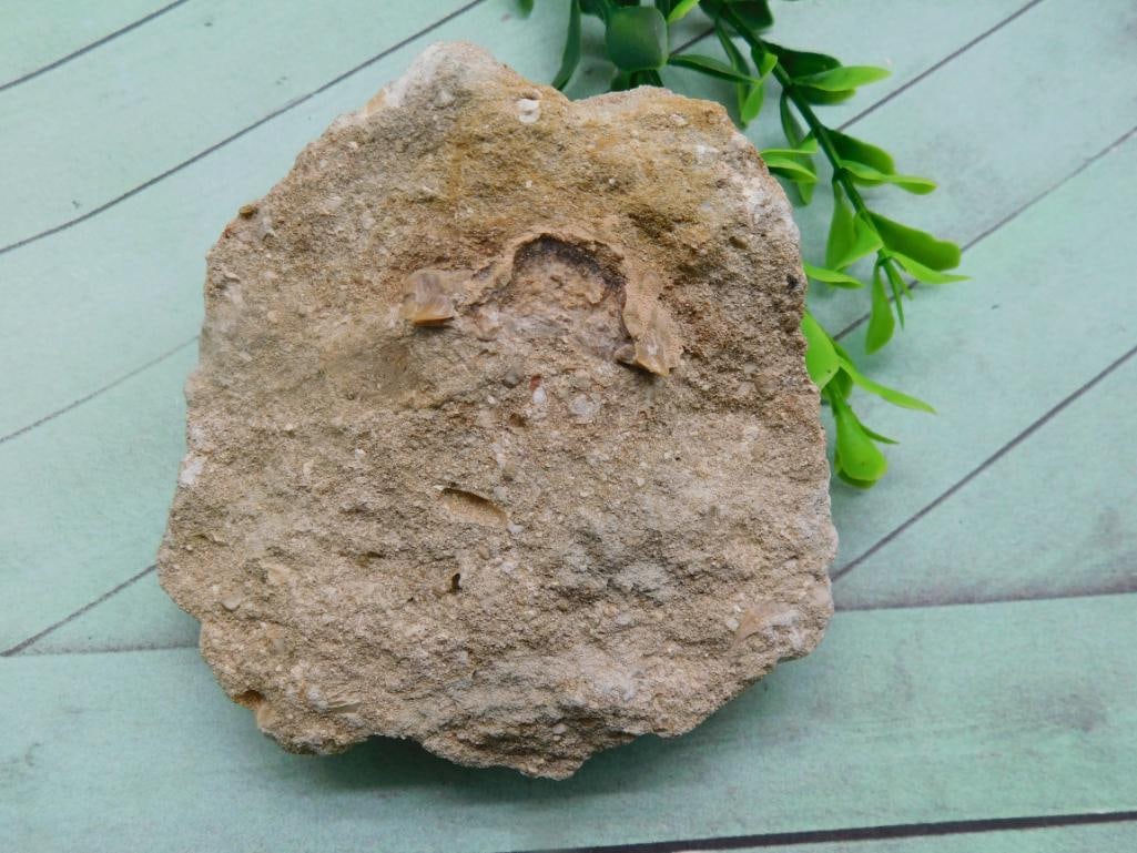 ROCK STONE LAPIDARY SPECIMEN (1 of 12)