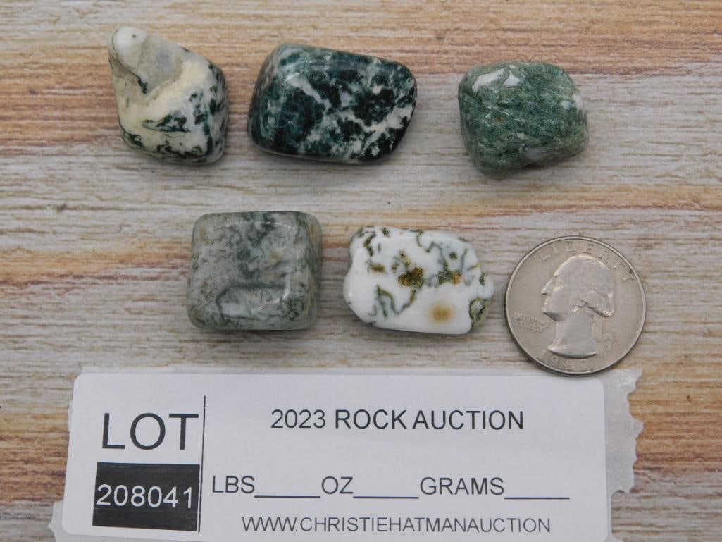 TREE AGATE ROCK STONE LAPIDARY SPECIMEN - 4