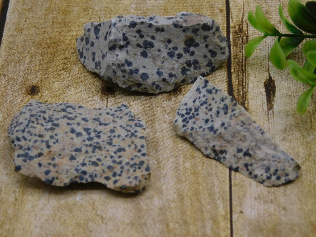DALMATION JASPER ROCK STONE LAPIDARY SPECIMEN: DALMATION JASPER ROCK STONE LAPIDARY SPECIMEN