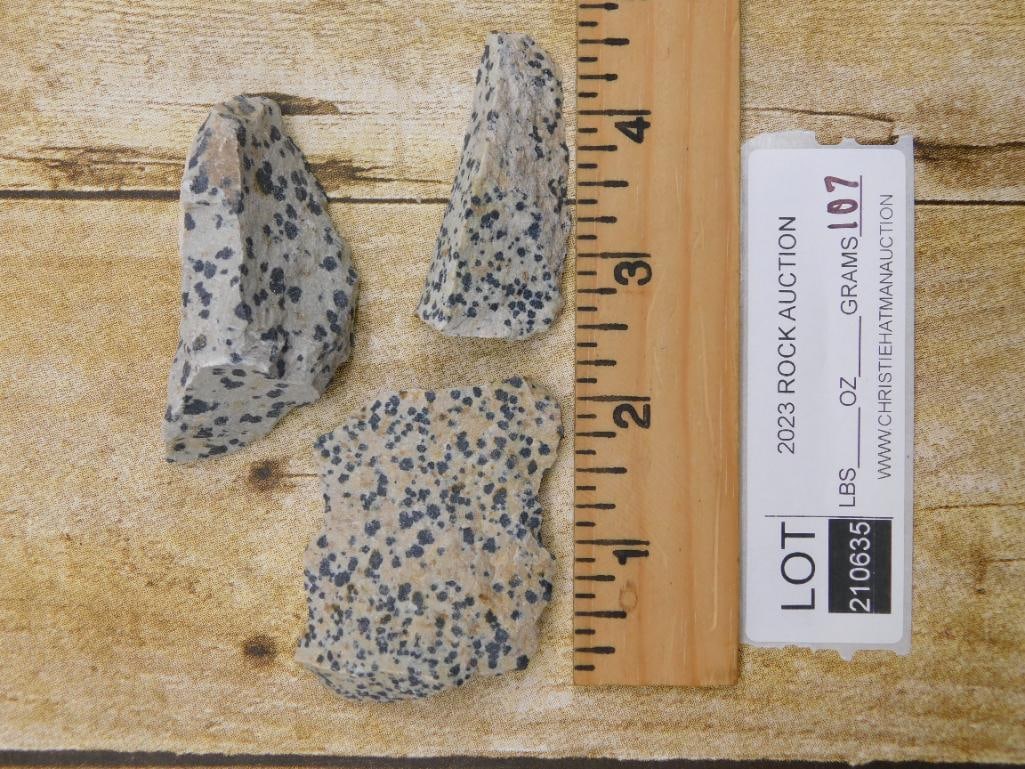 DALMATION JASPER ROCK STONE LAPIDARY SPECIMEN - 2