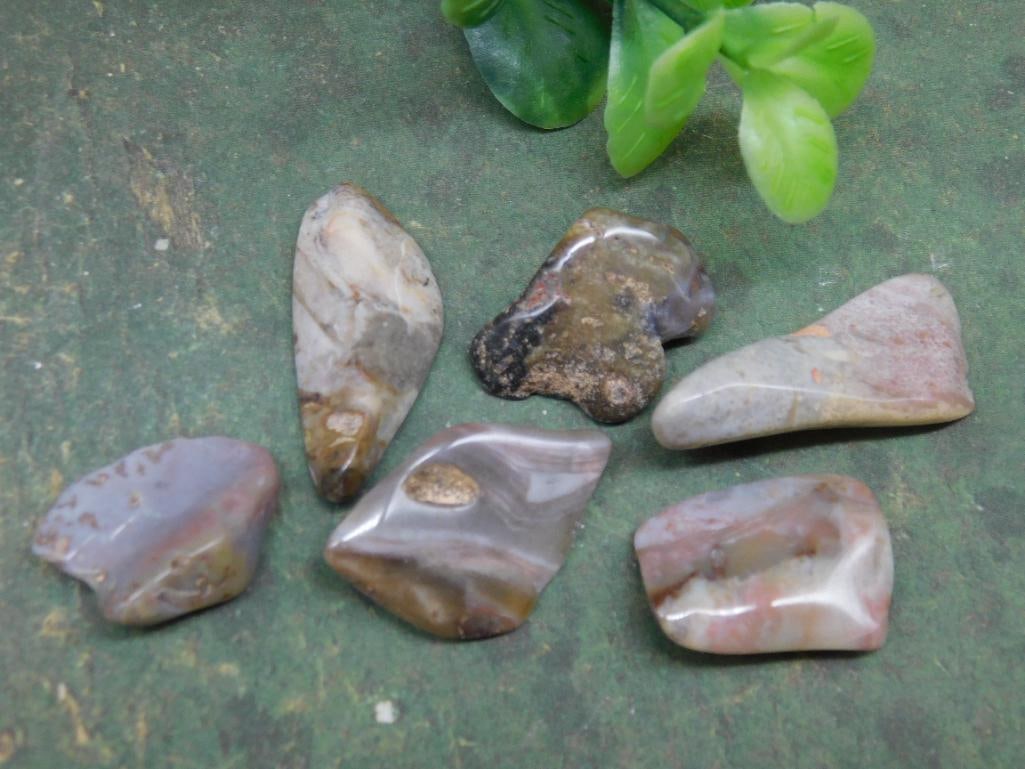 MOZARKITE ROCK STONE LAPIDARY SPECIMEN: Discover an extraordinary collection of natural wonders and estate treasures in Hatman's Auctions' Treasures of the Earth Online Auction! Browse turquoise, agate, jasper, petrified wood, quartz crysta