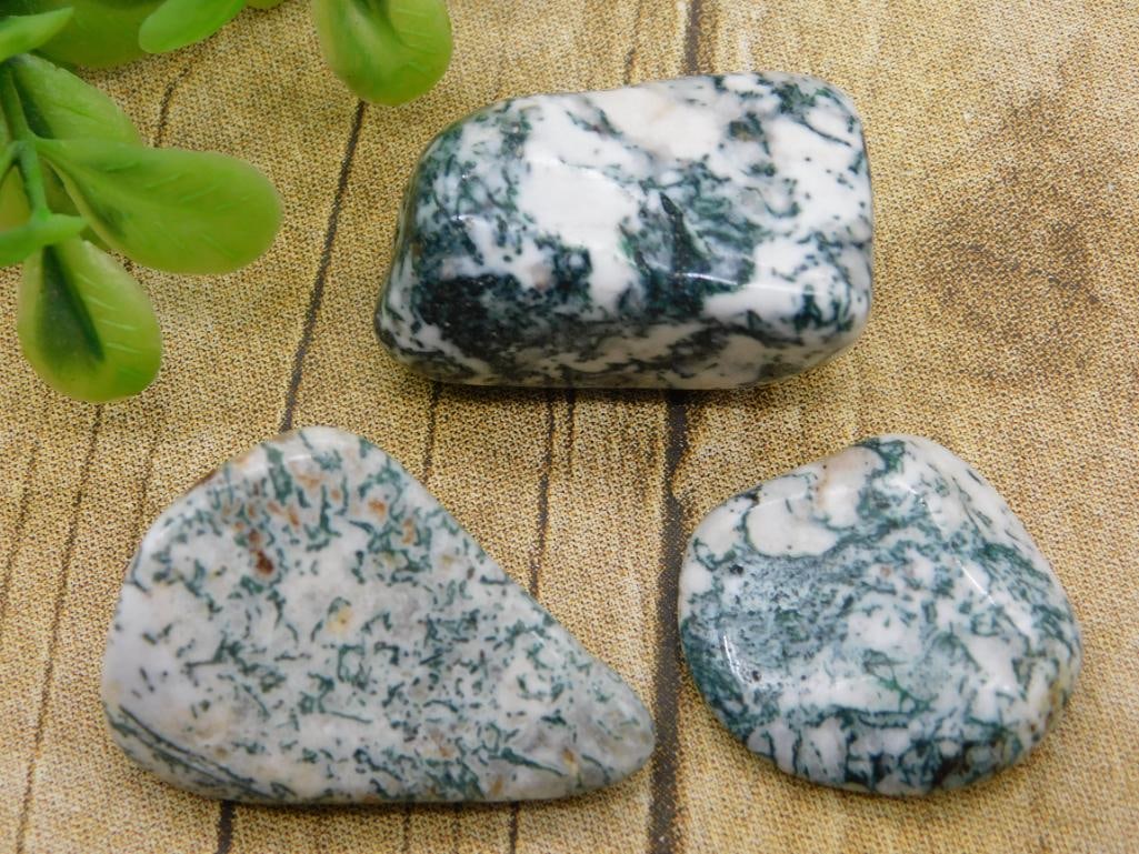 TREE AGATE ROCK STONE LAPIDARY SPECIMEN: TREE AGATE ROCK STONE LAPIDARY SPECIMEN