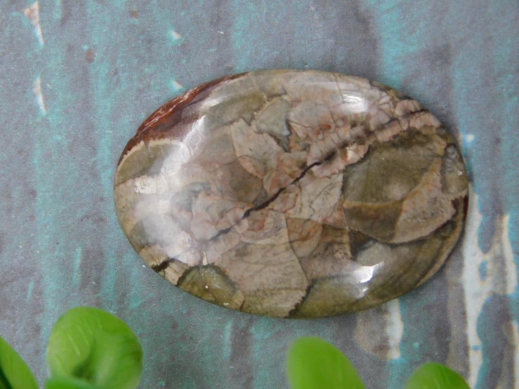 MUSHROOM RHYOLITE CABOCHON ROCK STONE LAPIDARY SPECIMEN (1 of 8)
