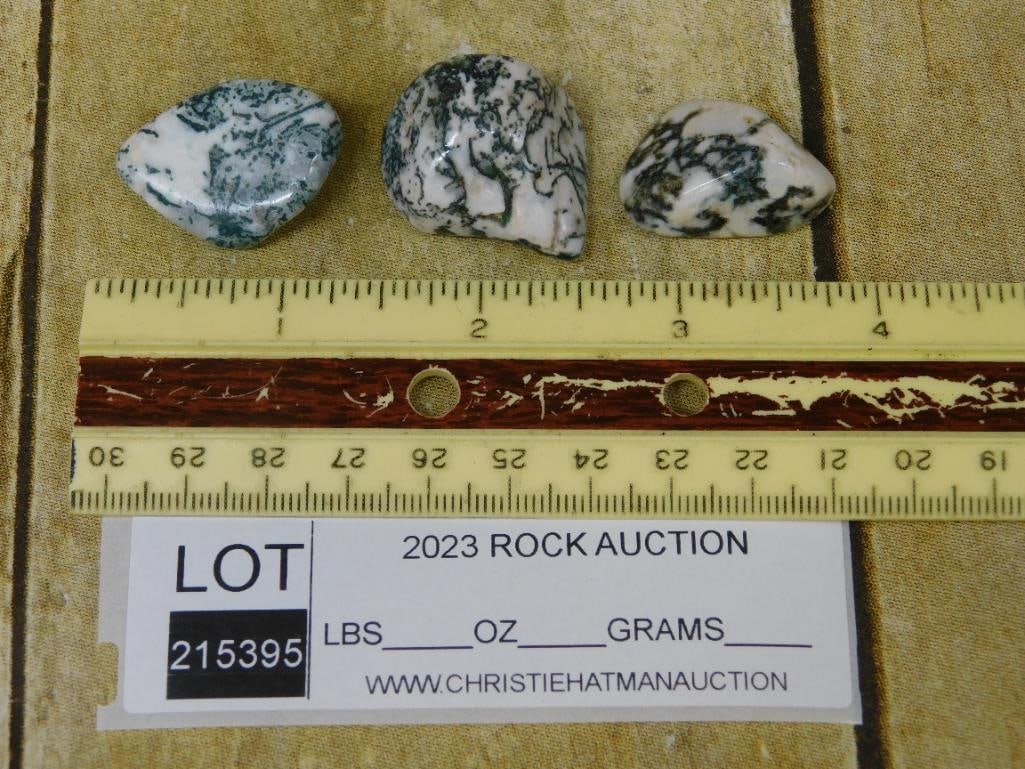 TREE AGATE ROCK STONE LAPIDARY SPECIMEN - 4