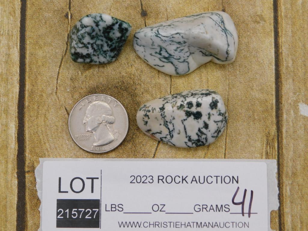 TREE AGATE ROCK STONE LAPIDARY SPECIMEN - 4