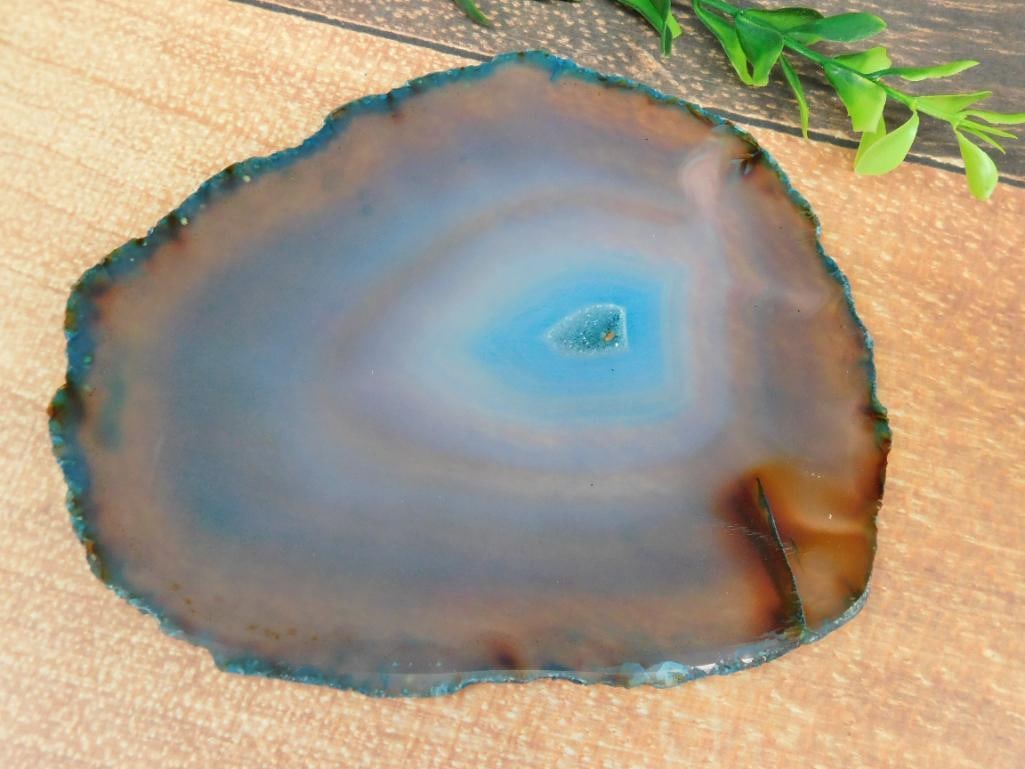 AGATE SLICE ROCK STONE LAPIDARY SPECIMEN: Discover an extraordinary collection of natural wonders and estate treasures in Hatman's Auctions' Treasures of the Earth Online Auction! Browse turquoise, agate, jasper, petrified wood, quartz crysta