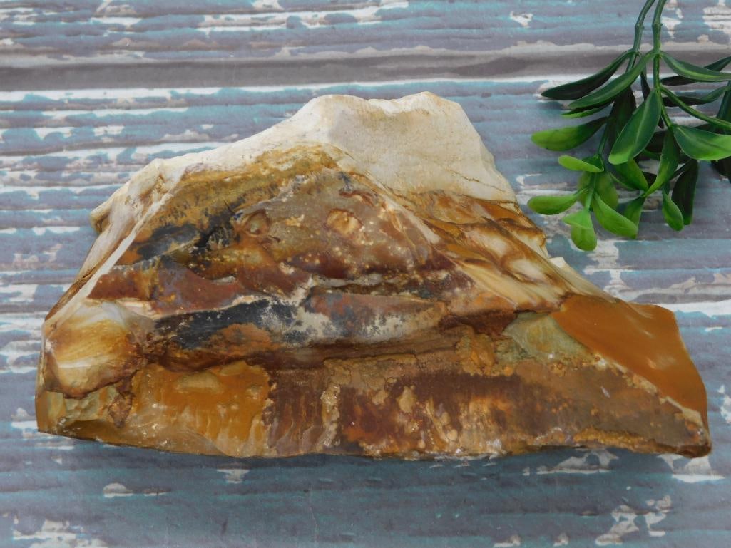 JASPER ROCK STONE LAPIDARY SPECIMEN - 3
