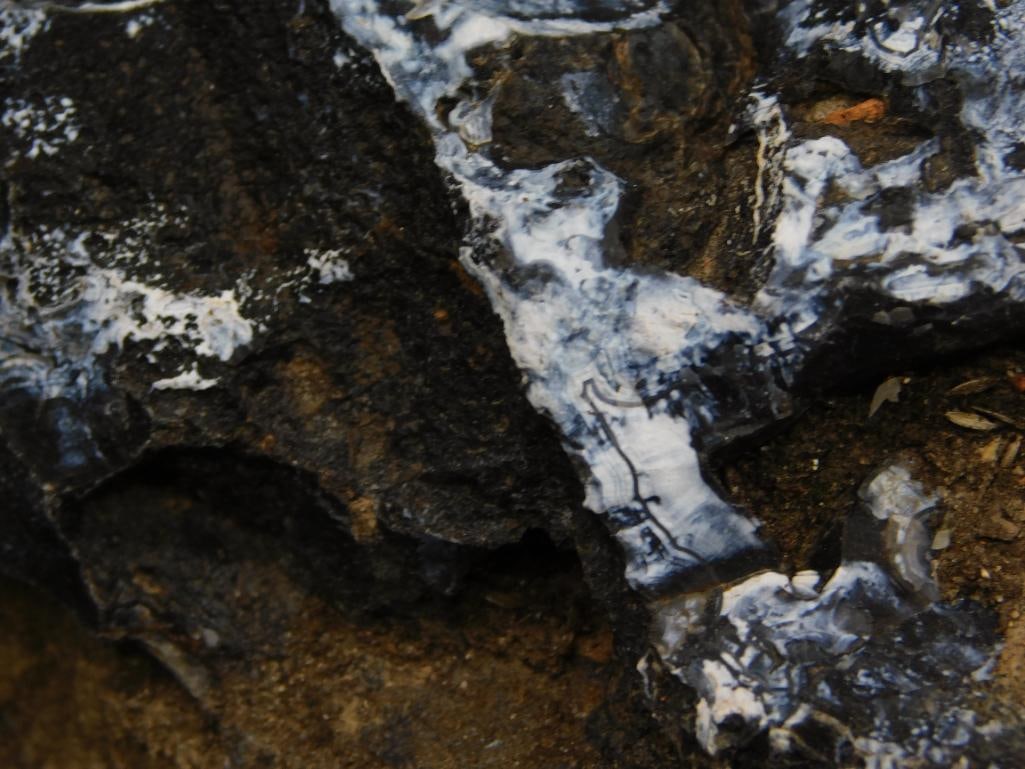 ROCK STONE LAPIDARY SPECIMEN (1 of 2)