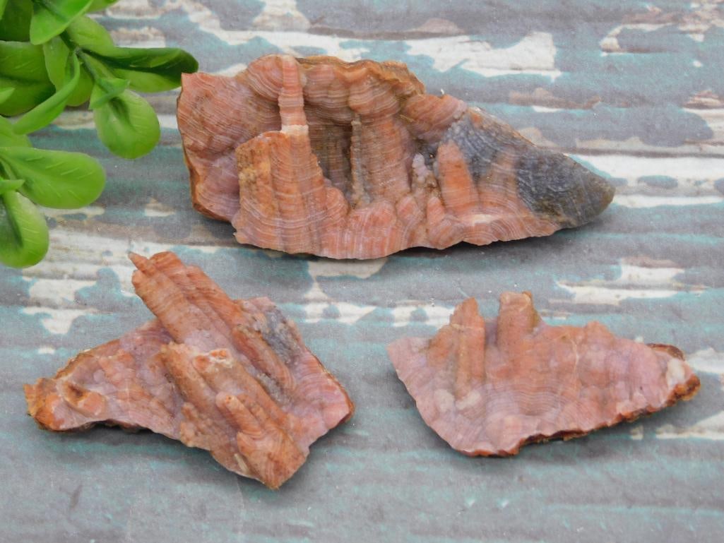 MIXED ROUGH LOT ROCK STONE LAPIDARY SPECIMEN: MIXED ROUGH LOT ROCK STONE LAPIDARY SPECIMEN