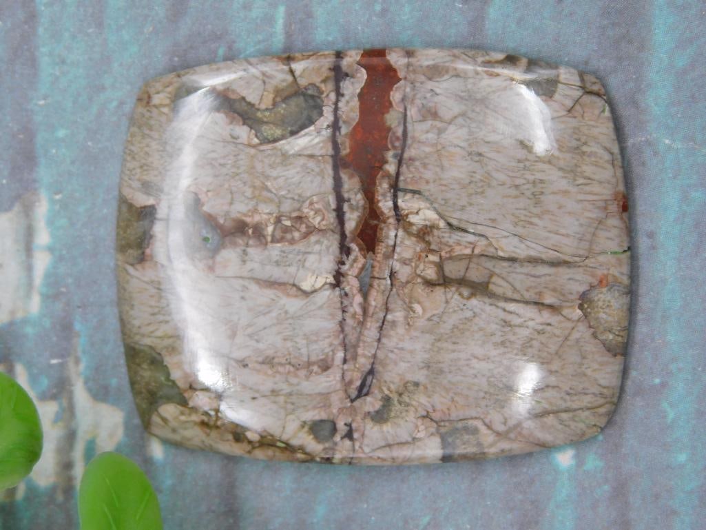 NOREENA JASPER CABOCHON ROCK STONE LAPIDARY SPECIMEN: We are an auction house conducting a live auction with several hundred lots. It sometimes takes up to three weeks to ship, and announcements are made during the auction that affect some items. *******