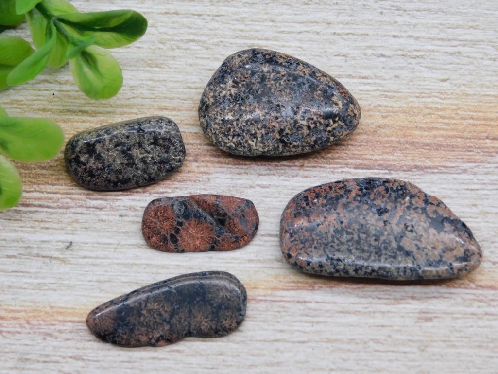 ROCK STONE LAPIDARY SPECIMEN (1 of 6)