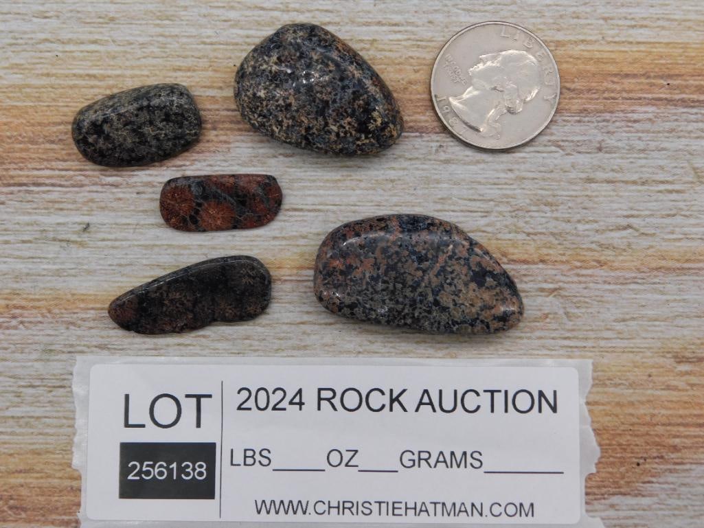 ROCK STONE LAPIDARY SPECIMEN - 5