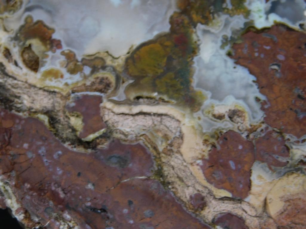Polished Agate Specimen With Patterns - 2