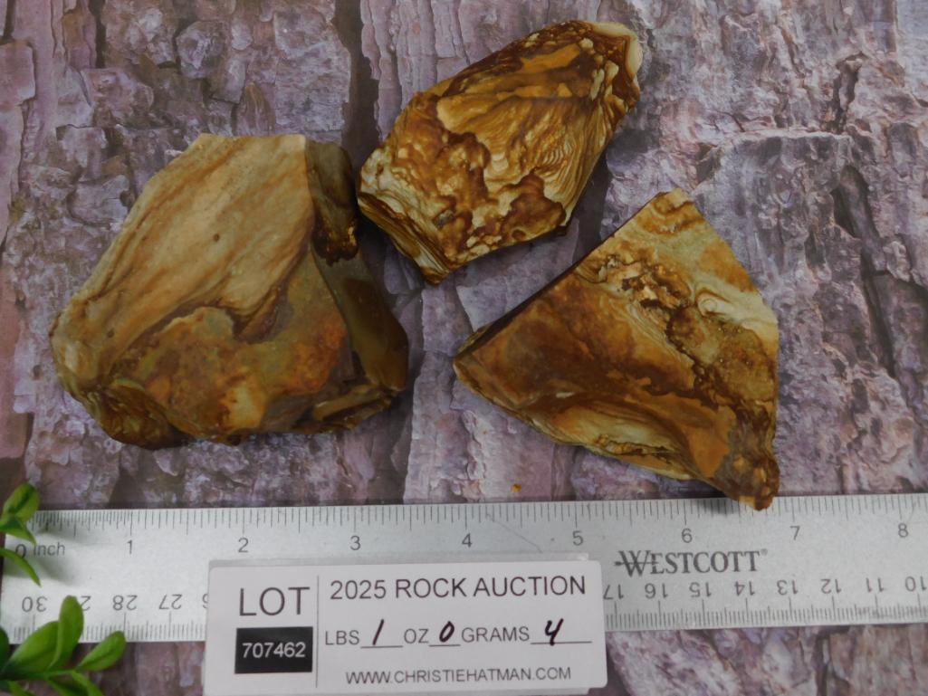 Three Jasper Rock Stone Lapidary Specimen - 3
