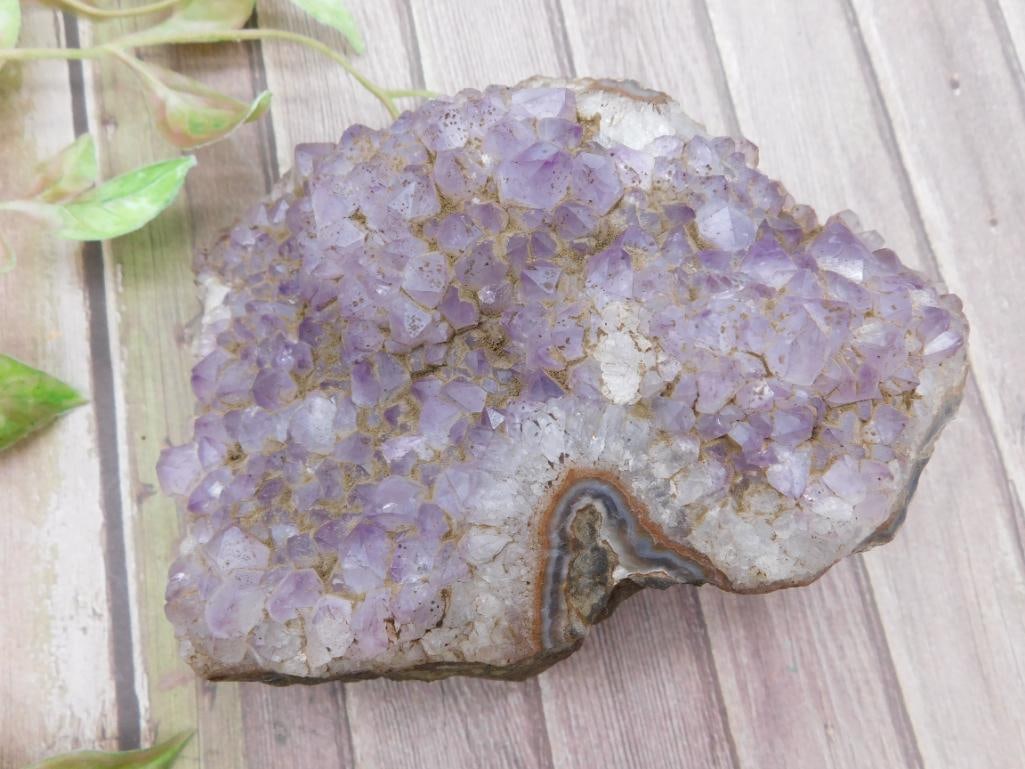 Amethyst Geode Cluster Rock Stone Lapidary Specimen?with Crystals: Amethyst Geode Cluster Rock Stone Lapidary Specimen?with Crystals