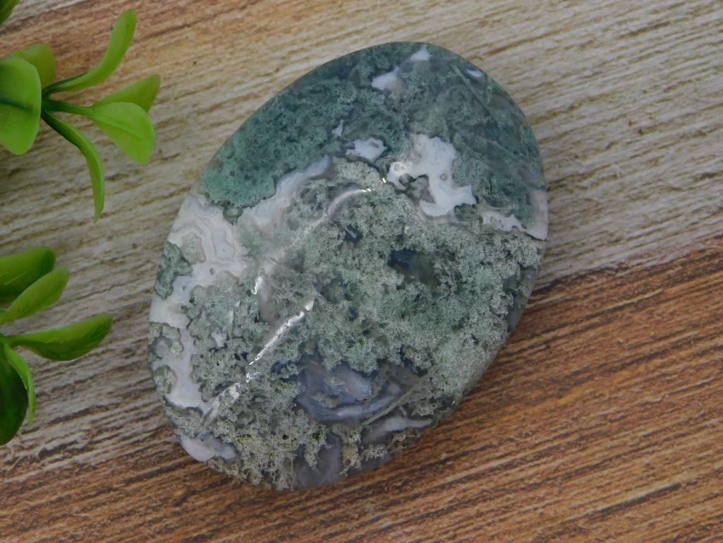 Moss Agate Polished Cabochon Stone - 5